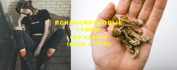ГАЛЛЮЦИНОГЕННЫЕ ГРИБЫ Арсеньев