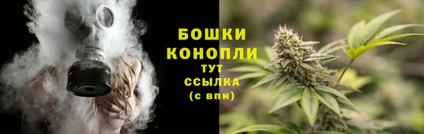 ПСИЛОЦИБИНОВЫЕ ГРИБЫ Аркадак
