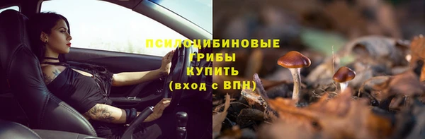 мет Армянск