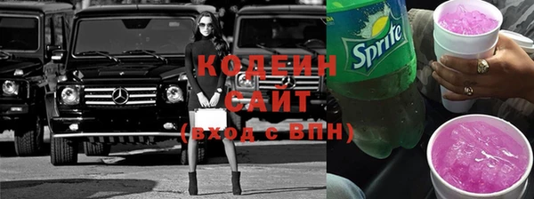 ГАЛЛЮЦИНОГЕННЫЕ ГРИБЫ Арсеньев