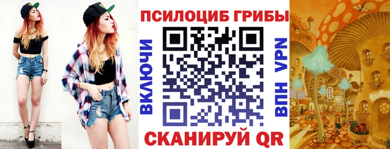 Псилоцибиновые грибы Magic Shrooms  Пустошка 